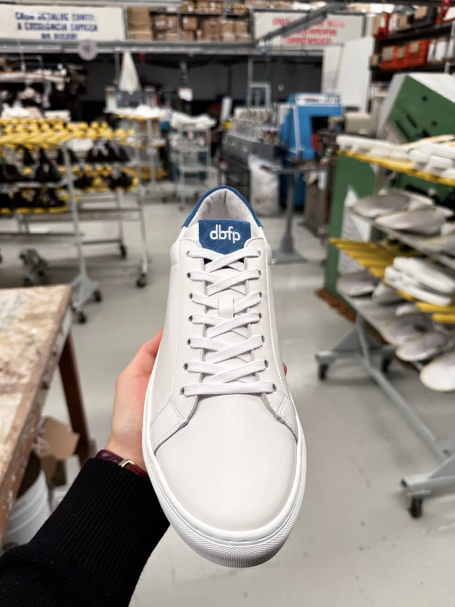 dbfp Firmensneaker in Weiß und Blau von oben